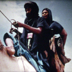 Touaregs Le Niger