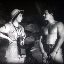 Montage de 4 Films Annonces Jungle