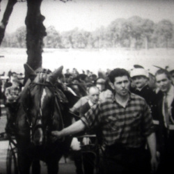 Jamin, Roi des Trotteurs