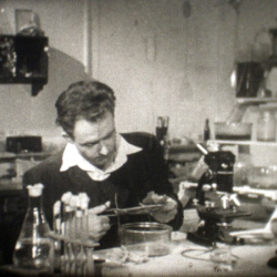 Histoire d'un Monde en Miniature