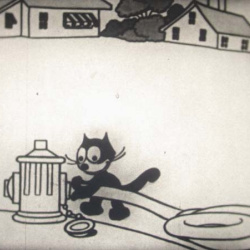 Felix the Cat "Outdoor Indore"