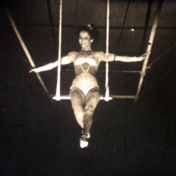 Le Cirque "Sous le Chapiteau"