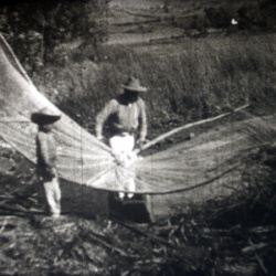 Les Dieux-serpents et les Hommes-oiseaux