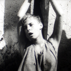 Septième Sceau (Le)