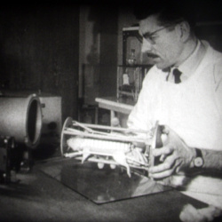 Actualit&eacute;s &Eacute;clair Journal 1961 A