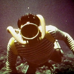 Paysages sous la Mer