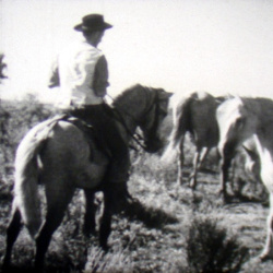 Lot de Films N&deg;220 A