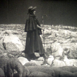 No&euml;l proven&ccedil;al