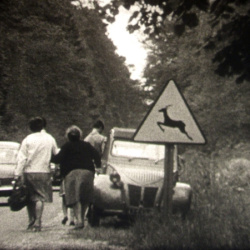 La For&ecirc;t du Lendemain