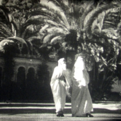 El Djeza&iuml;r