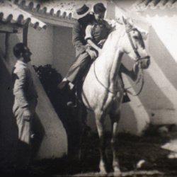 Torero