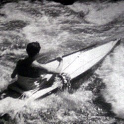 La Croisière sauvage