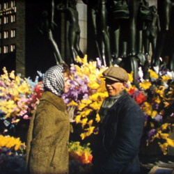 Film Amateur Stockholm
