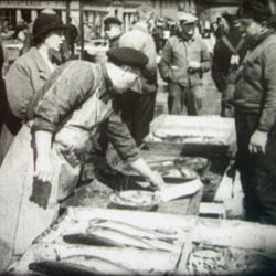 Marché aux Poissons à Bergen