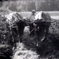 Le Limousin