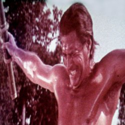 Défi de Tarzan (Le)