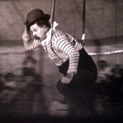 Le Cirque en Folie
