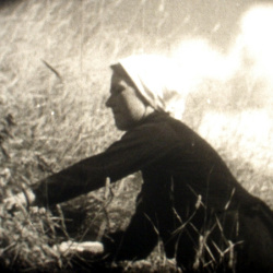 Fenaison en Montagne
