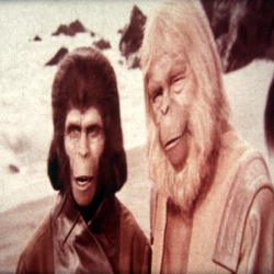Secret de la Planète des Singes (Le)