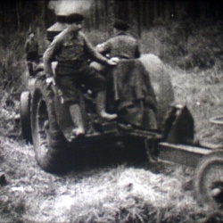 Moteurs en Forêt