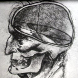 Le Génie de l'Homme