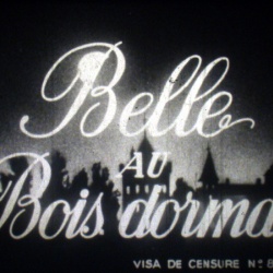 La Belle au Bois dormant