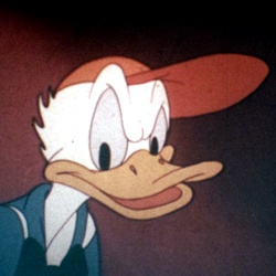 Donald Straight Shooters