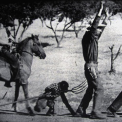 La plus noble Conquête du Singe