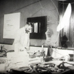 The Artist speaks "Victor Pasmore"