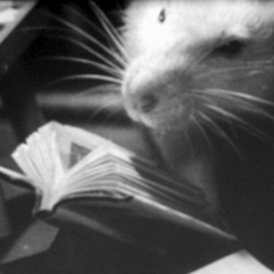 Tales of the Riverbank n°2