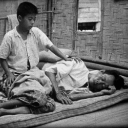 La Malaria vaincue