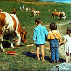 Je vois Tout "Les Chemins de l'Été"