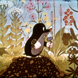 La petite Taupe "Comment la Taupe a réussi à Avoir sa Culotte"
