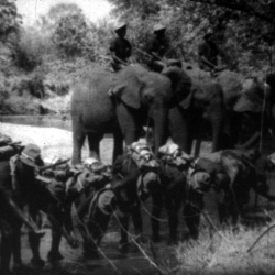 Au Royaume des Éléphants 
