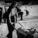 Neiges ensoleillées