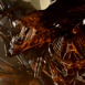 Aliens, le Retour