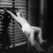 Procédés de Musculation