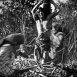 Le Fils de Tarzan