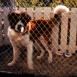 Beethoven