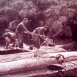 Survie en Brousse