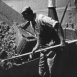 La Machine dans l'Agriculture