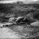 Terre humaine