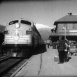 Railroaders