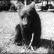 Rencontre au Zoo