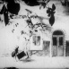 The Revenge of a Kinematograph Cameraman