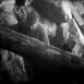 La France en Marche "Le Glacier asservi"