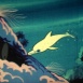 Oum le Dauphin "Le Requin-marteau"