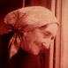 Le Haricot