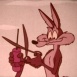 Bip Bip et Coyote "Shot and Bothered"