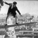 Nécessité fait l'Oie